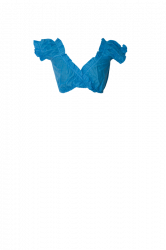 Dinrndl-Bluse aus Baumwolle in blau